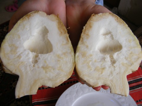 Apio nabo (rábano blanco)