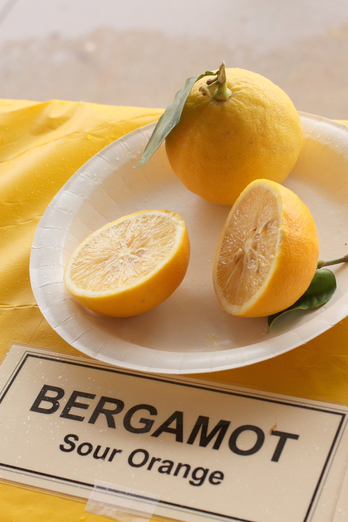 Bergamota