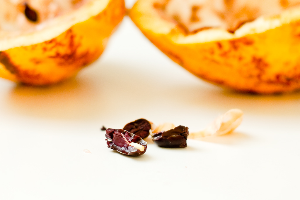 Frutos Secos y Semillas