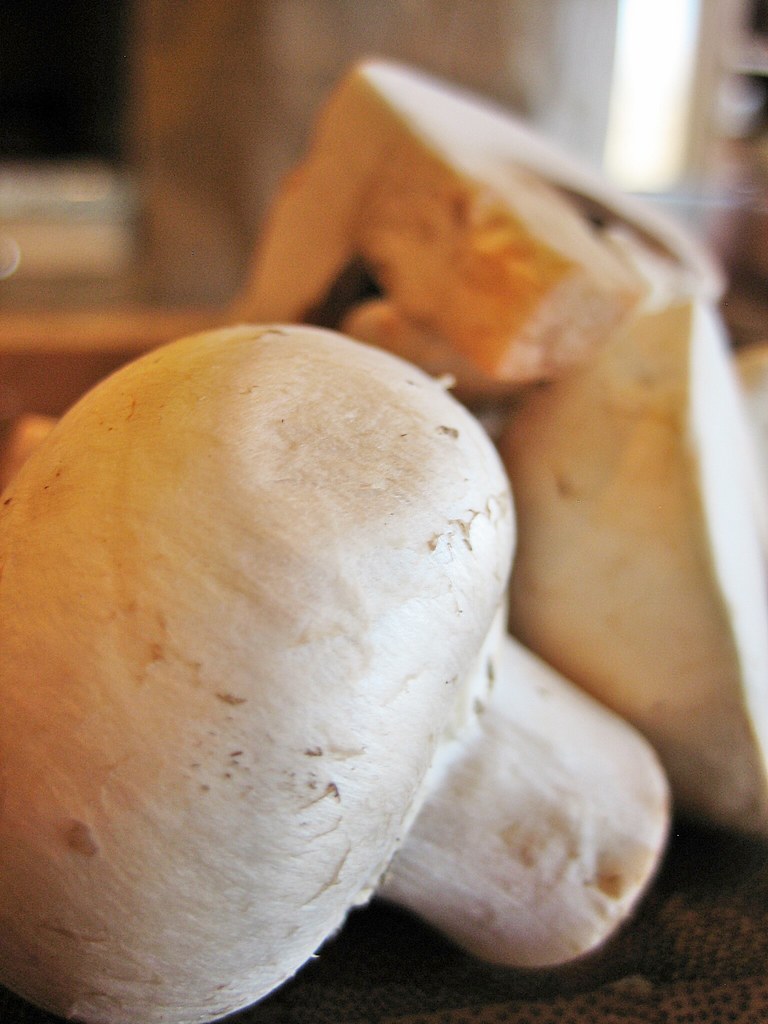 Champiñón blanco