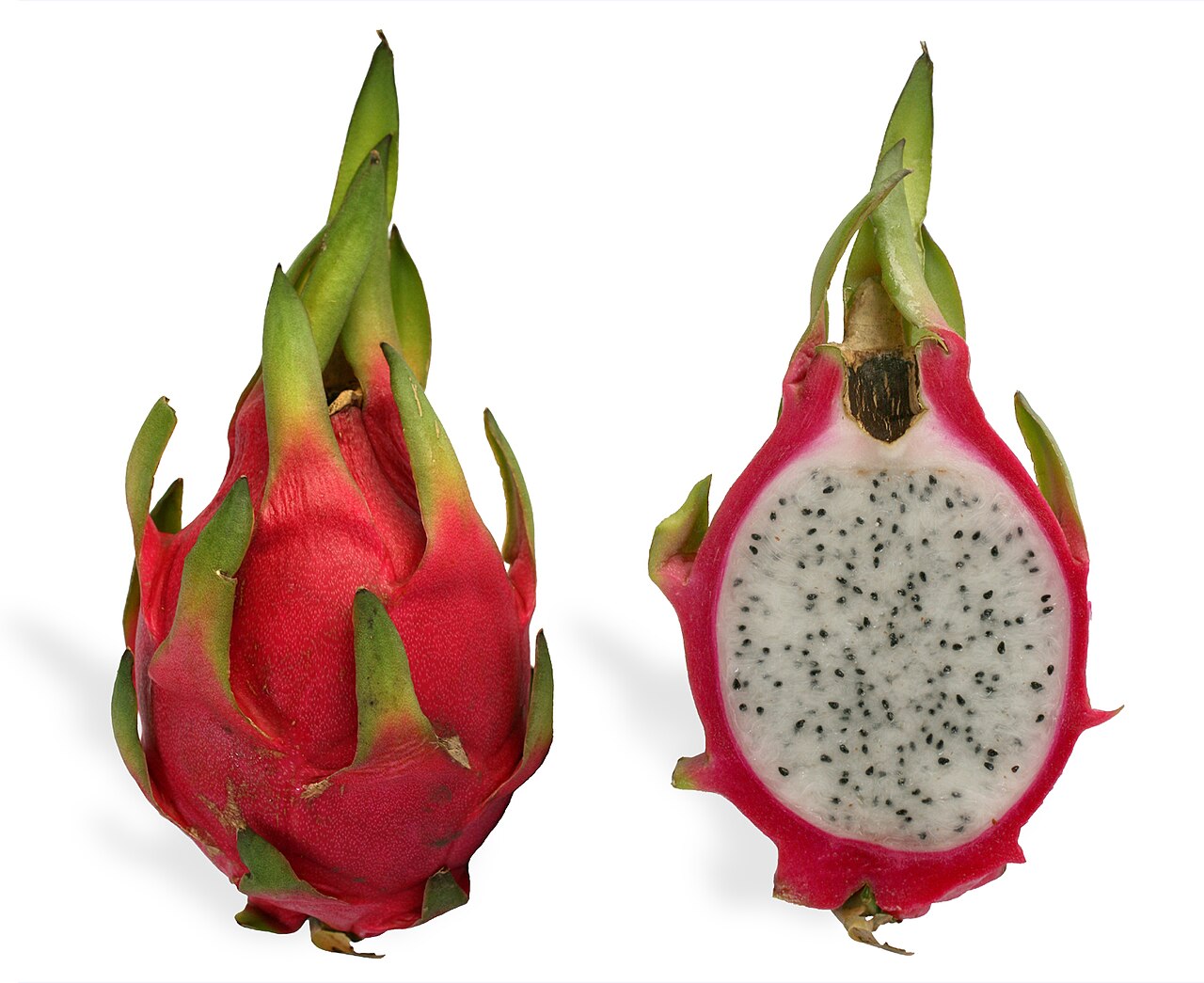 Pitahaya roja