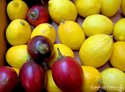 Tomate de árbol